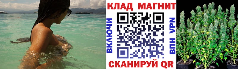 Цена Бабаево Бошки Шишки  A-PVP  ГАШИШ  МЕФ  КОКАИН 