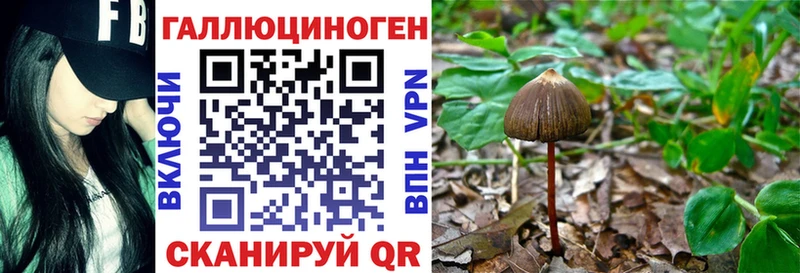 Галлюциногенные грибы Cubensis  Бабаево 